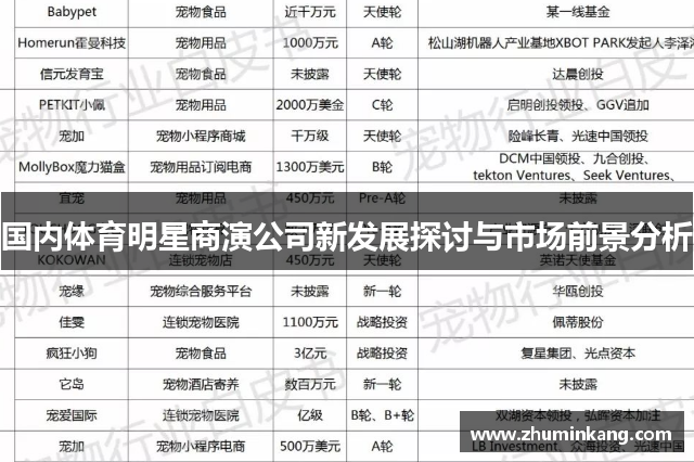 国内体育明星商演公司新发展探讨与市场前景分析